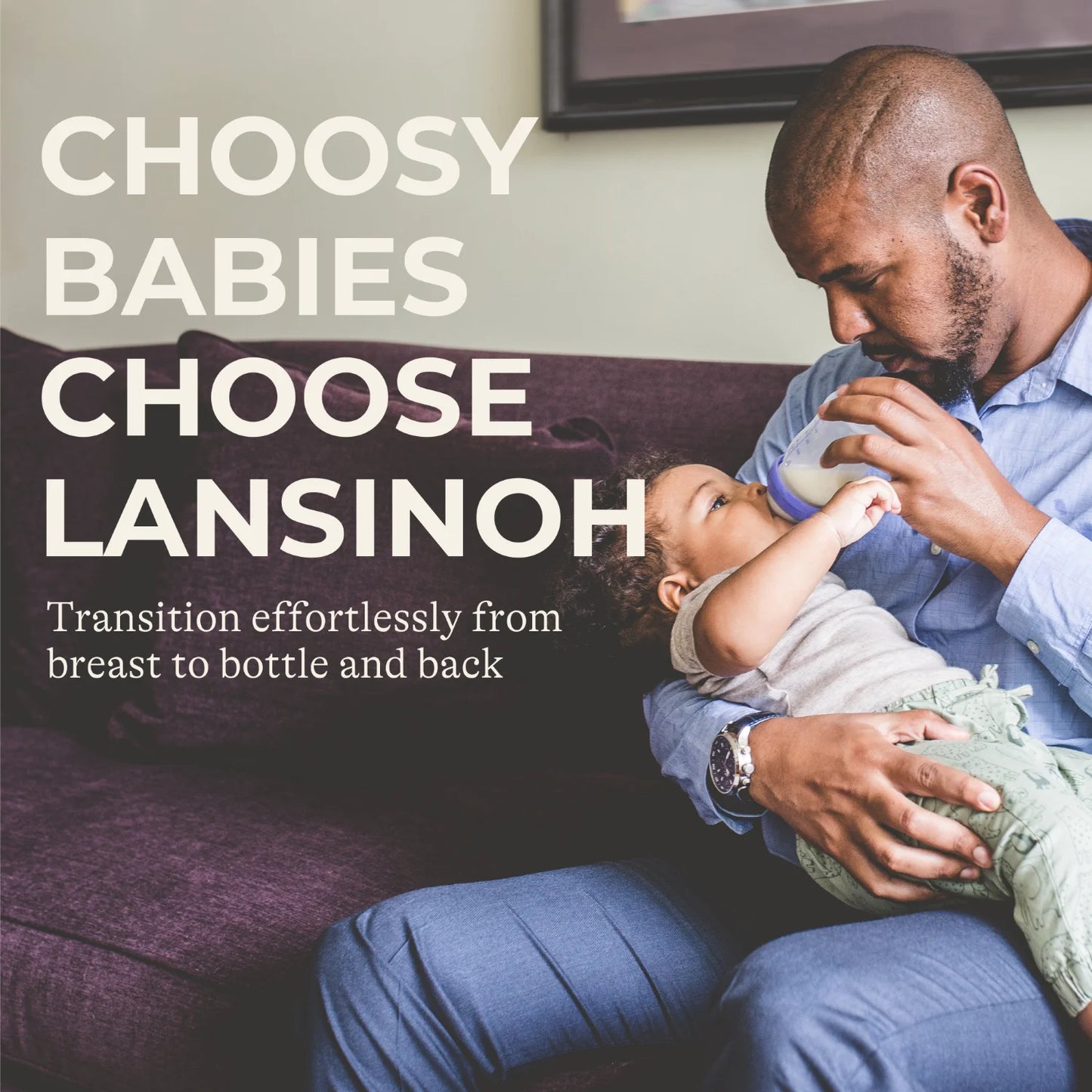 Lansinoh, NaturalWave® Nipples, Fast Flow, 2 Nipples