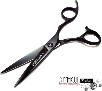 Professional Hair Scissors Salon Shears 6 Inch, Extremely Sharp 440C Blades, Dyn