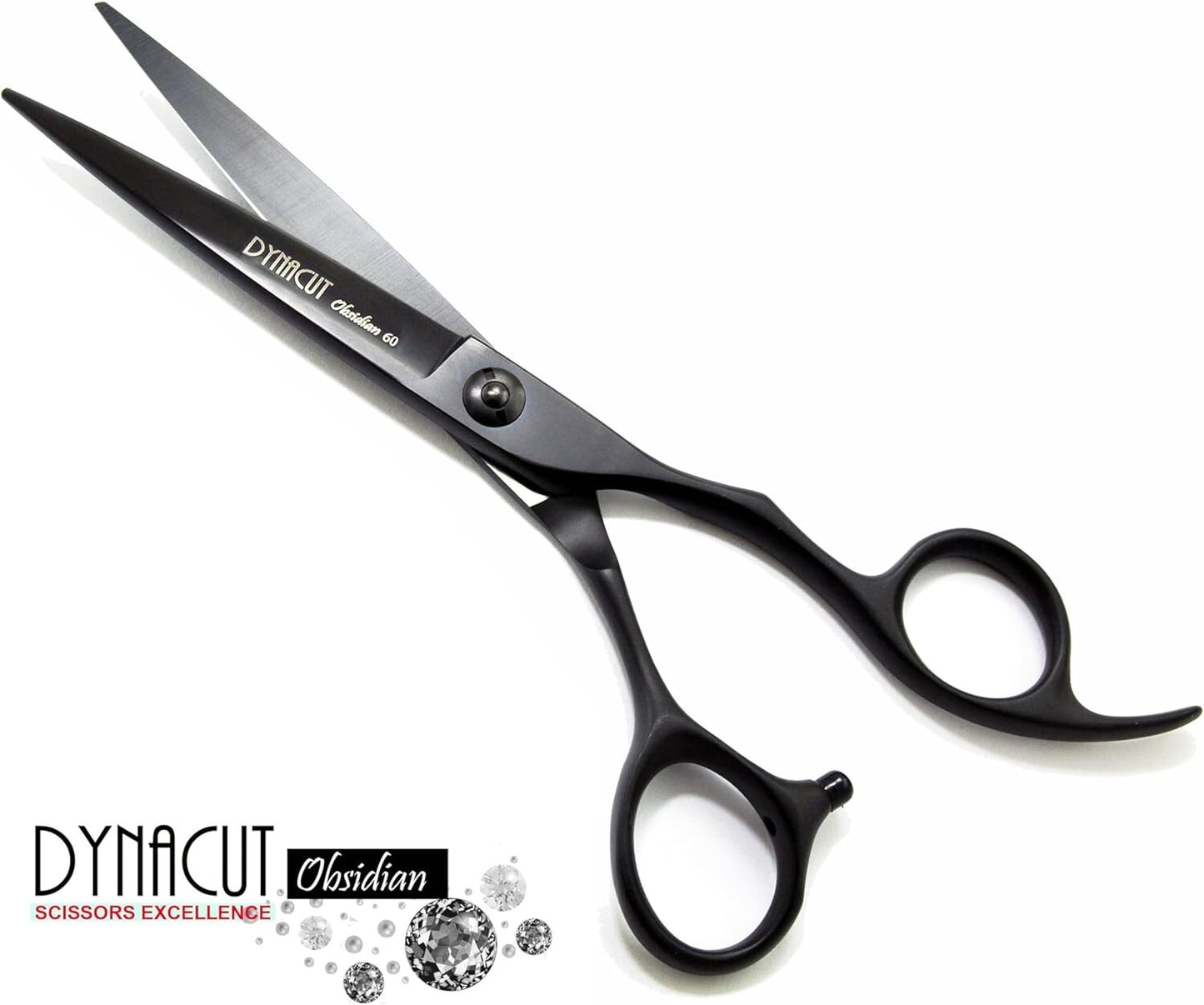 Professional Hair Scissors Salon Shears 6 Inch, Extremely Sharp 440C Blades, Dyn