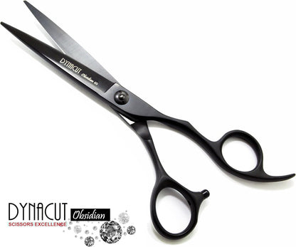 Professional Hair Scissors Salon Shears 6 Inch, Extremely Sharp 440C Blades, Dyn