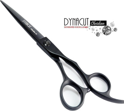 Professional Hair Scissors Salon Shears 6 Inch, Extremely Sharp 440C Blades, Dyn