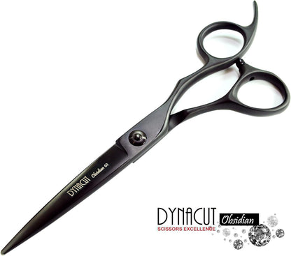 Professional Hair Scissors Salon Shears 6 Inch, Extremely Sharp 440C Blades, Dyn