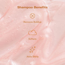 DAE Signature Duo Set (Shampoo & Conditioner)