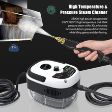Irishom 2500W Handheld Steam Cleaner High Temperature Pressurized Steam Cleaning Machine Portable Car Steamer with Brush (White)