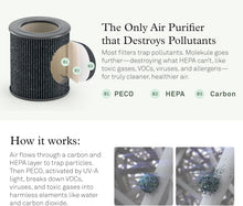 Molekule Mini/Mini+ Air Filter - Authentic Molekule Air Purifier Filter Replacement - PECO-HEPA Tri-Power Technology - Captures & Destroys Pollutants - Advanced Smoke Filtration