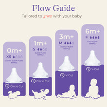 Lansinoh, NaturalWave® Nipples, Fast Flow, 2 Nipples